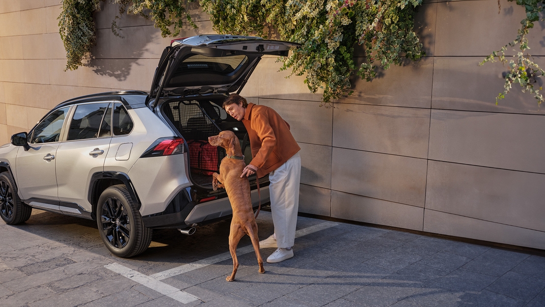 Toyota-C-HR-exterieur-driekwart-links-achter-laadklep-met-hond